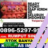 Distributor Rumput Plastik Tebing Tinggi Barat.jpg