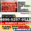 Supplier Rumput Imitasi Sulang.jpg