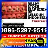 Jual Rumput Sintetis Sidoarjo.jpg