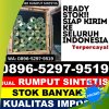 Pusat Rumput Sintetis Aek Natas.jpg