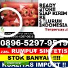 Distributor Rumput Plastik Teluk Batang.jpg