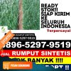 Agen Rumput Sintetis Kempas.jpg