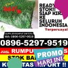 Gudang Rumput Plastik Kabupaten Agam.jpg