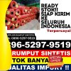 Jual Rumput Palsu Sanga Desa.jpg