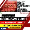 Distributor Rumput Plastik Tempursari.jpg