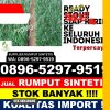 Toko Rumput Imitasi Kramat Jati.jpg