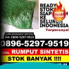 Pusat Rumput Palsu Ganeas.jpg