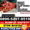 Jual Rumput Palsu Sawit Seberang.jpg