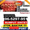 Supplier Rumput Imitasi Tabalar.jpg