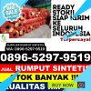 Supplier Rumput Plastik Parung Panjang.jpg