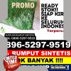 Toko Rumput Plastik Huristak.jpg