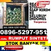 Penjual Rumput Sintetis Biatan.jpg