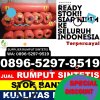 Supplier Rumput Imitasi Taliabu Selatan.jpg