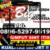 Supplier Rumput Plastik Patangkep Tutui.jpg