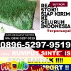 Toko Rumput Plastik Ix Koto Sungai Lasi.jpg