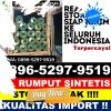 Penjual Rumput Sintetis Blang Bintang.jpg