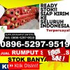 Supplier Rumput Plastik Pedamaran Timur.jpg