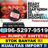 Distributor Rumput Plastik Trimurjo.jpg