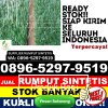 Toko Rumput Imitasi Lahat.jpg