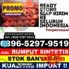 Jual Rumput Palsu Senayang.jpg