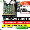 Penjual Rumput Sintetis Bolo.jpg