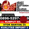 Distributor Rumput Plastik Turatea.jpg