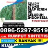 Agen Rumput Sintetis Kota Pekalongan.jpg