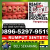 Jual Rumput Palsu Seribu Riam.jpg