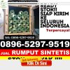 Pusat Rumput Sintetis Burneh.jpg