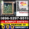 Penjual Rumput Sintetis Boyolali.jpg