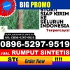 Toko Rumput Imitasi Leles.jpg