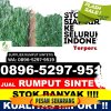 Toko Rumput Imitasi Lhoong.jpg