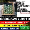 Penjual Rumput Sintetis Bunga Mayang.jpg