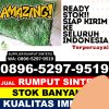 Gudang Rumput Plastik Kali Bunder.jpg