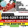 Supplier Rumput Plastik Praya Barat Daya.jpg