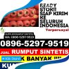 Supplier Rumput Imitasi Teluk Sebong.jpg