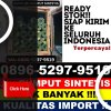 Penjual Rumput Sintetis Cakung.jpg