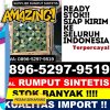 Jual Rumput Imitasi Aluh  Aluh.jpg