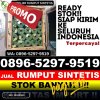 Distributor Rumput Sintetis Aikmel.jpg