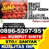 Supplier Rumput Imitasi Teras.jpg