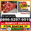 Supplier Rumput Plastik Pulomerak.jpg