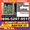 Jual Rumput Imitasi Antapani.jpg