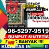 Distributor Rumput Sintetis Ambarawa.jpg