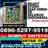 Jual Rumput Imitasi Babakan Ciparay.jpg