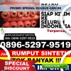 Jual Rumput Palsu Suka Karya.jpg