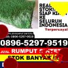 Gudang Rumput Plastik Kebonpedes.jpg