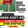 Agen Rumput Sintetis Limbangan.jpg