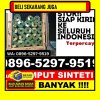 Jual Rumput Imitasi Balong.jpg