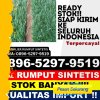 Toko Rumput Imitasi Maronge.jpg