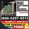 Distributor Rumput Sintetis Bajo Barat.jpg